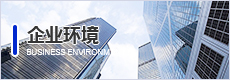 企业环境